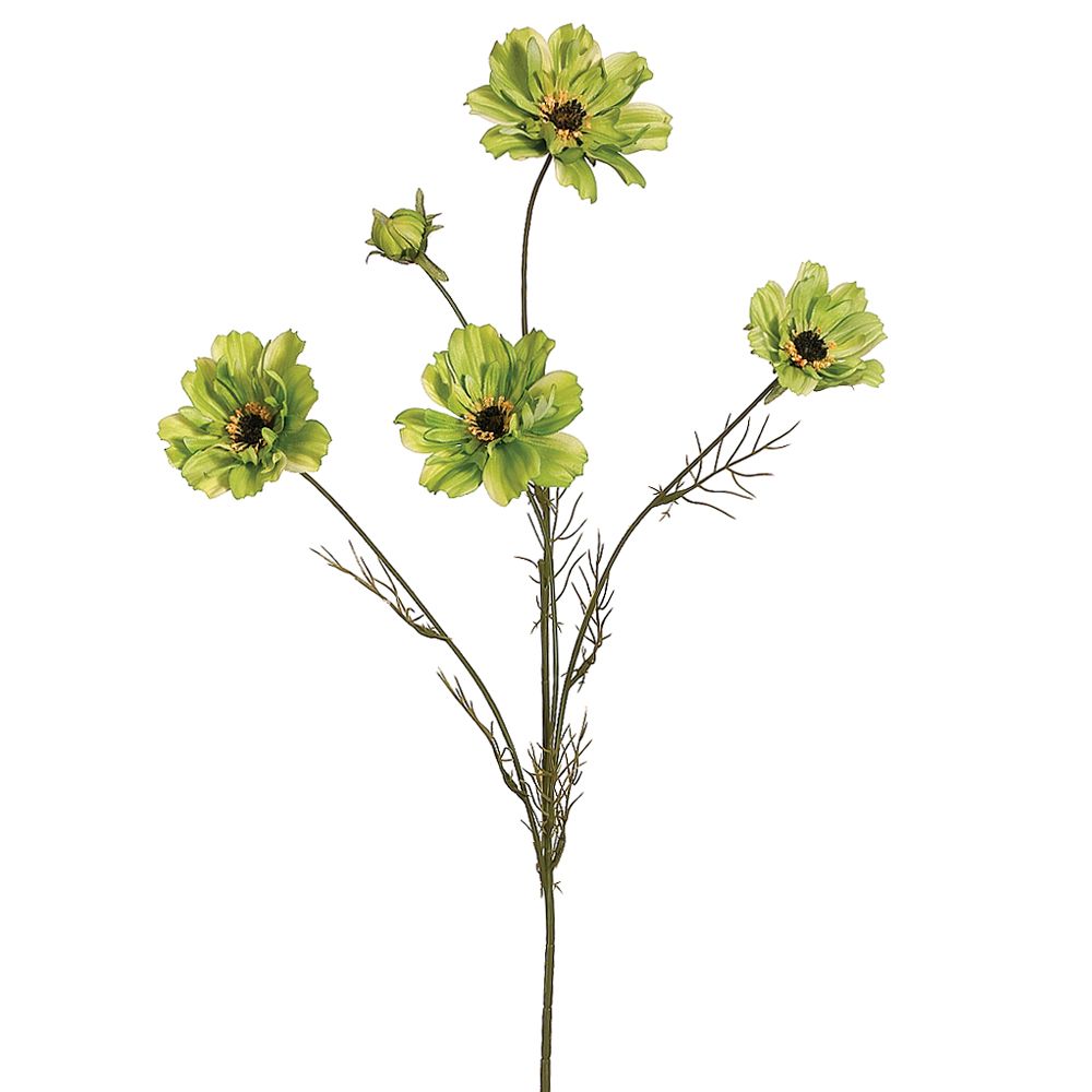 32"COSMOS SPRAY X5 GR