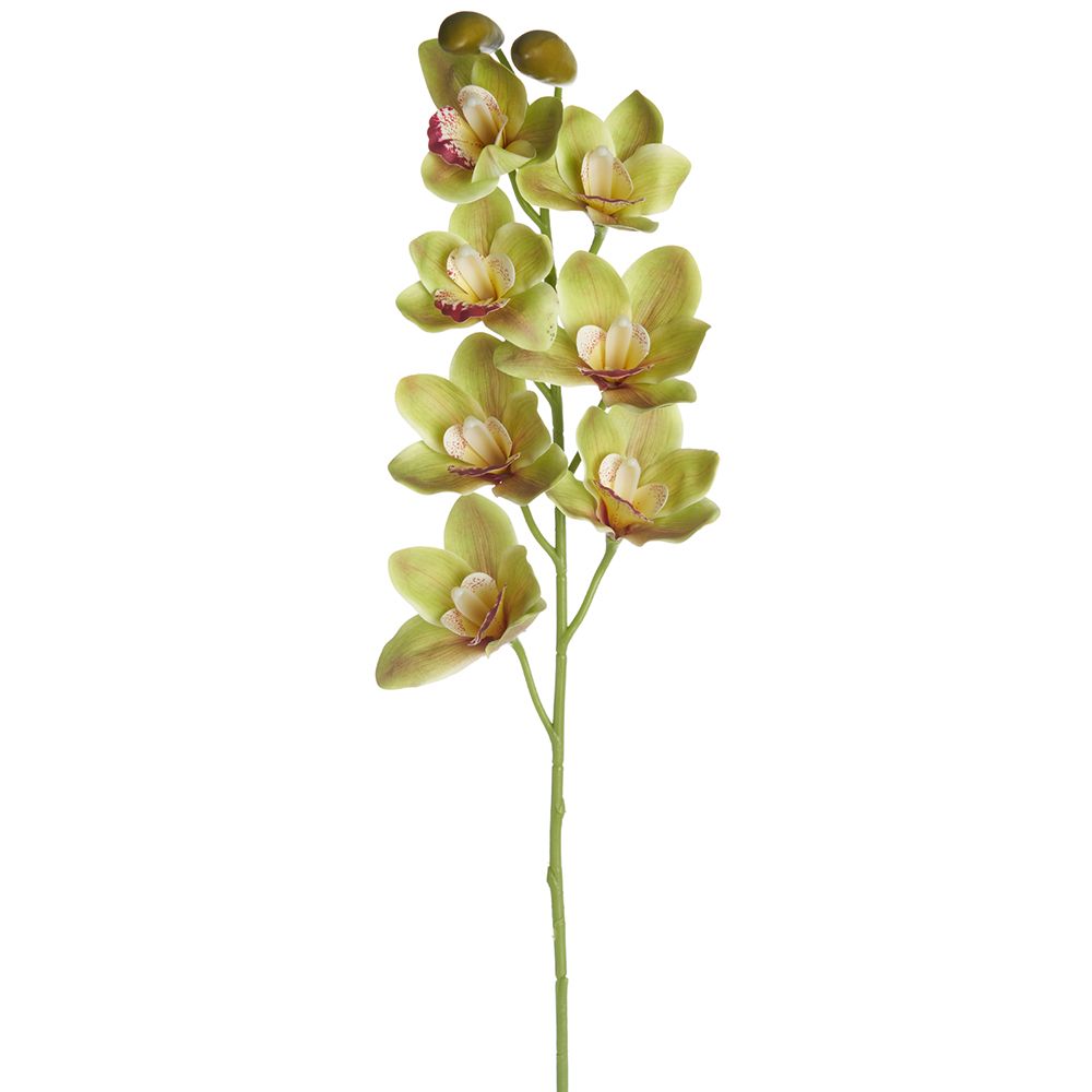 36"CYMBIDIUM ORCHID SPRAY GR