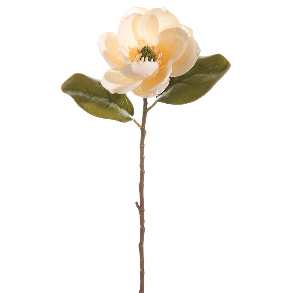 28.5"MAGNOLIA SPRAY VA