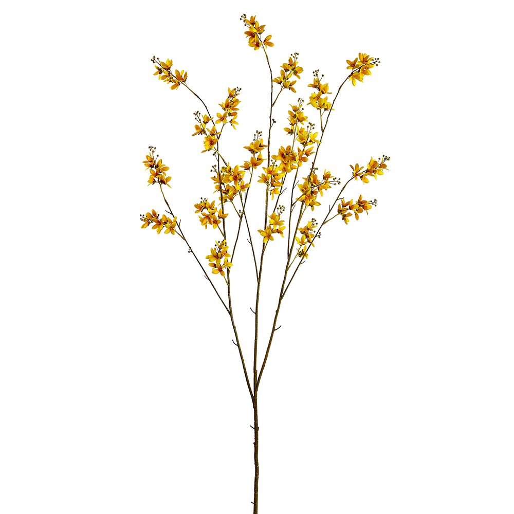 53"FORSYTHIA BRANCH YE
