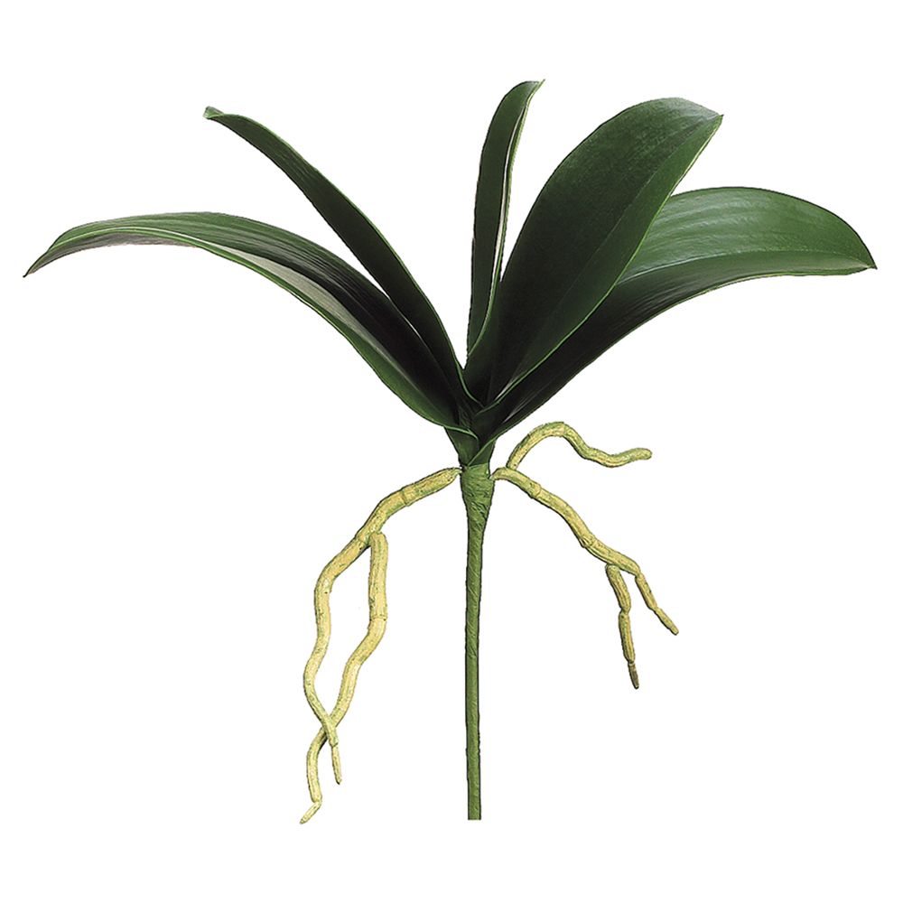 12"PHALAENOPSIS LEAF PLANT GR HSL482-GR