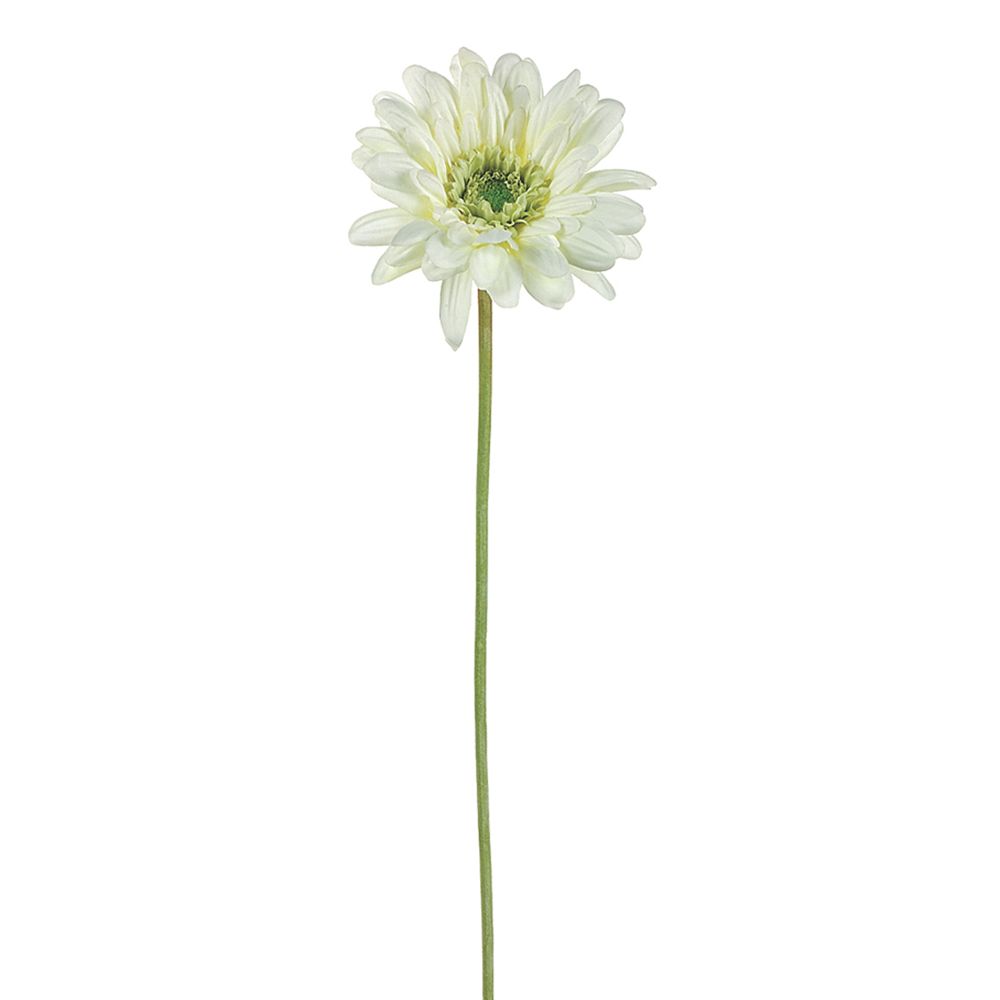 21.5"MD GERBERA DAISY SP.CR