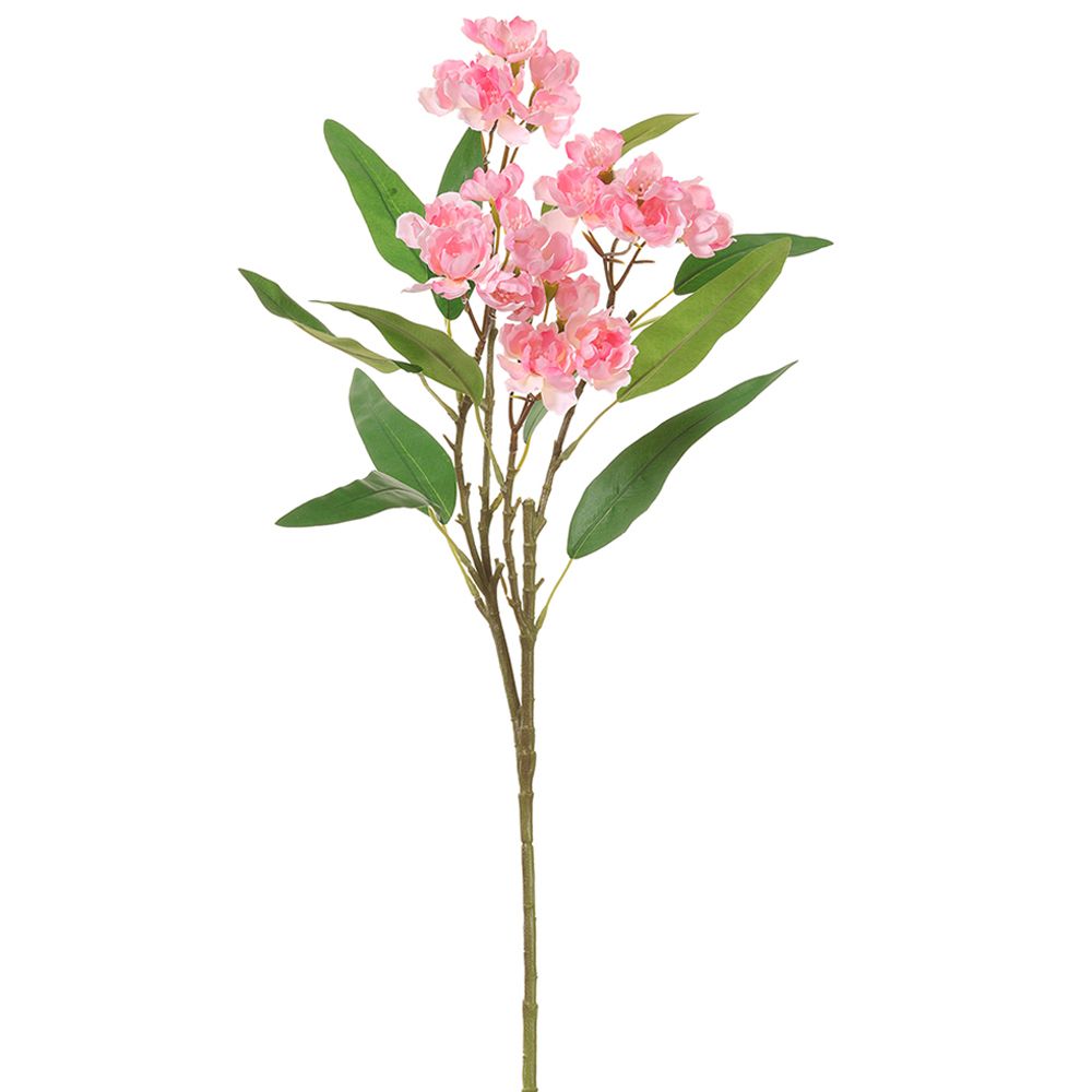 24"WILD STOCK SPRAY PK