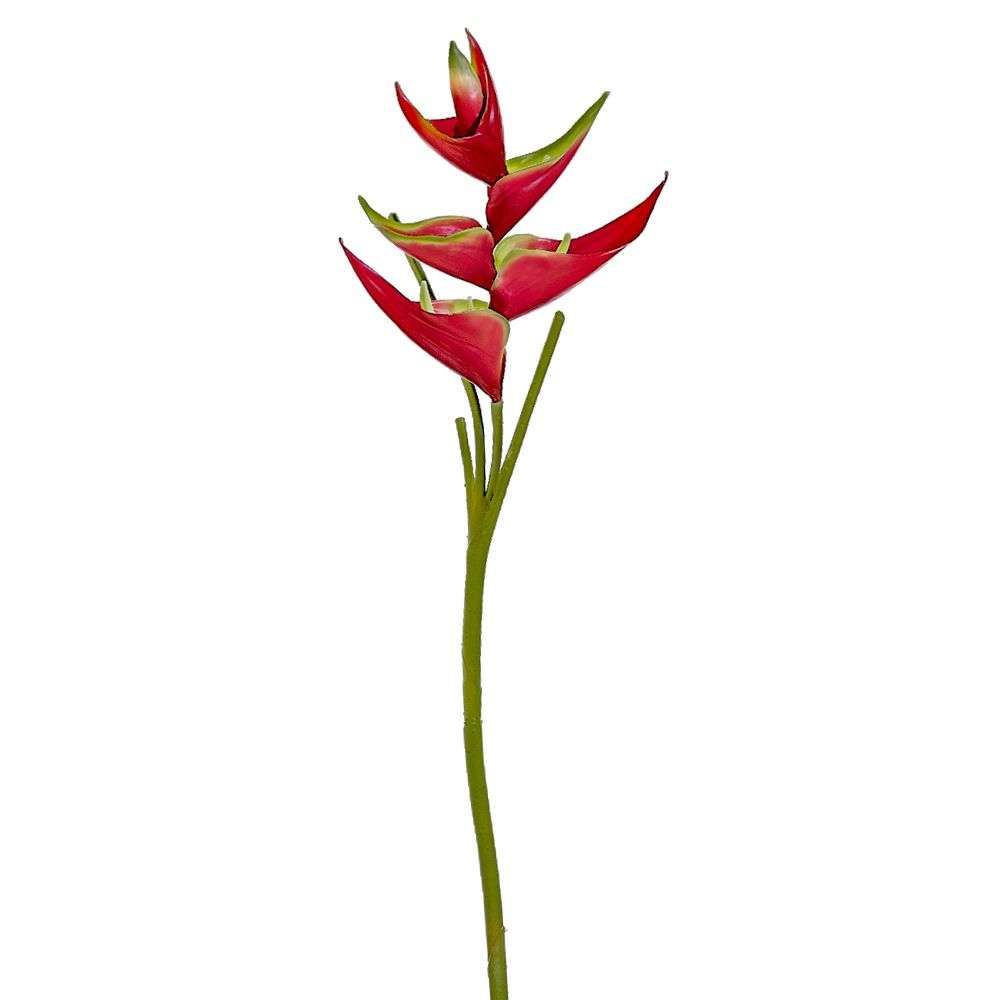 34"SMALL HELICONIA SPRAY RE/YE