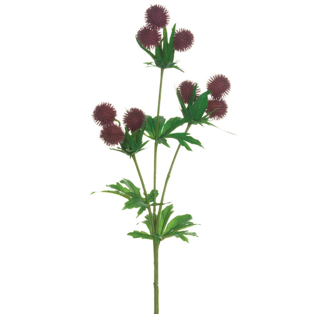 18"GLOBE THISTLE SPRAY BU