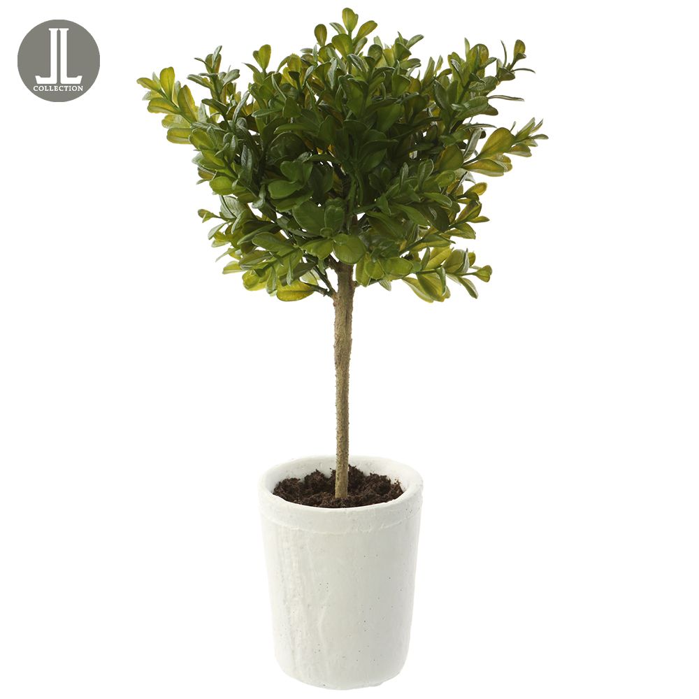 15"BOXWOOD TOPIARY IN CLAY POT