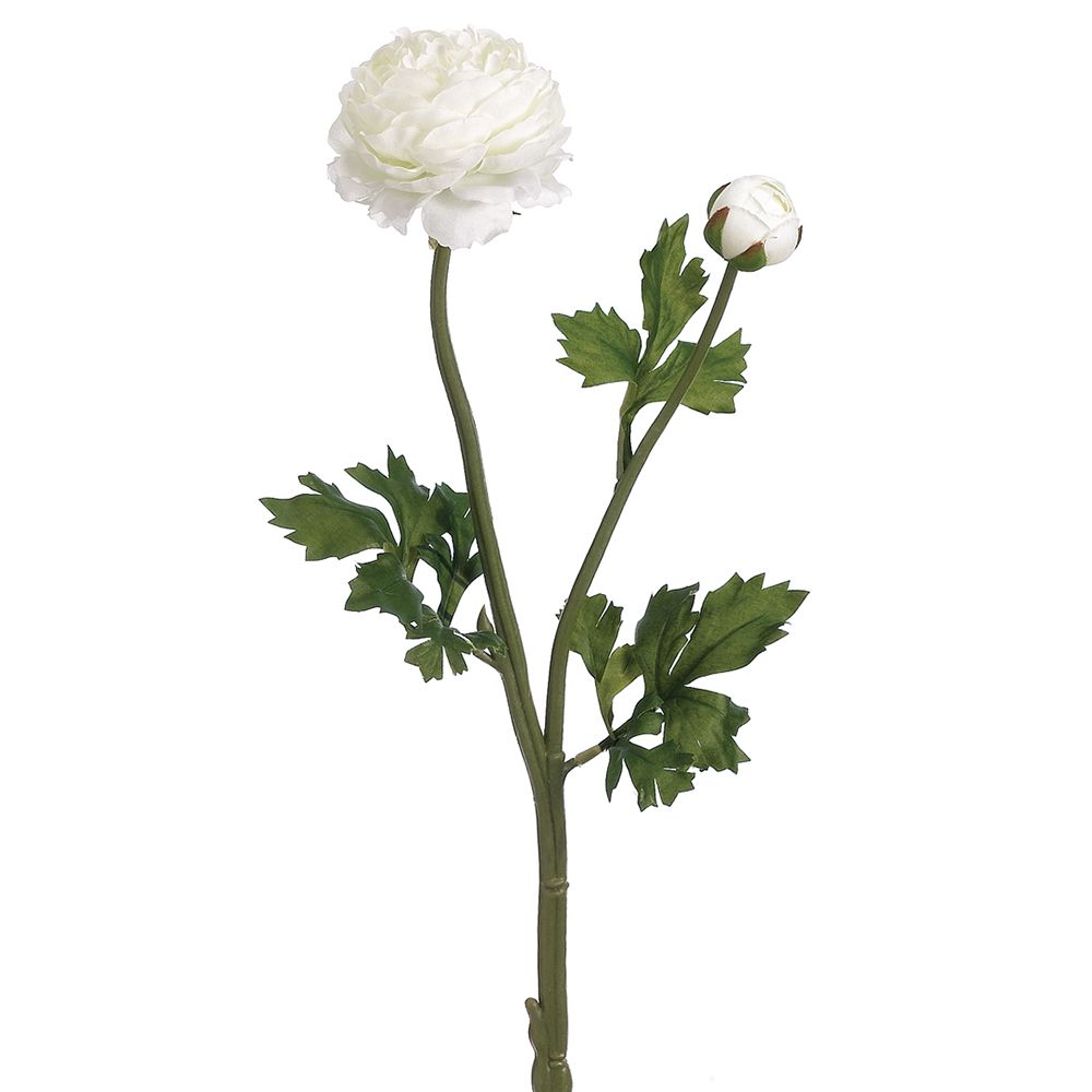18.9"RANUNCULUS SPRAY WH