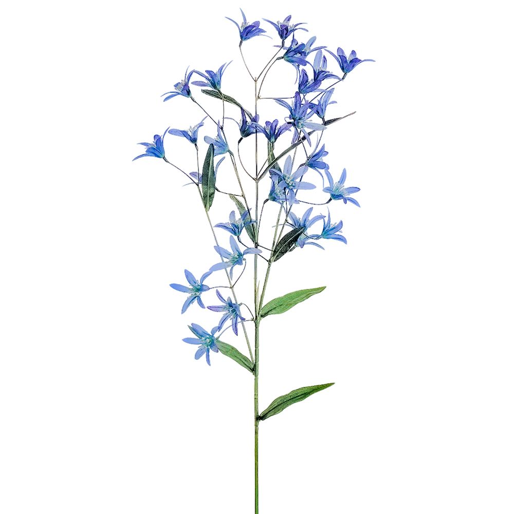 29"TWEEDIA SPRAY HE