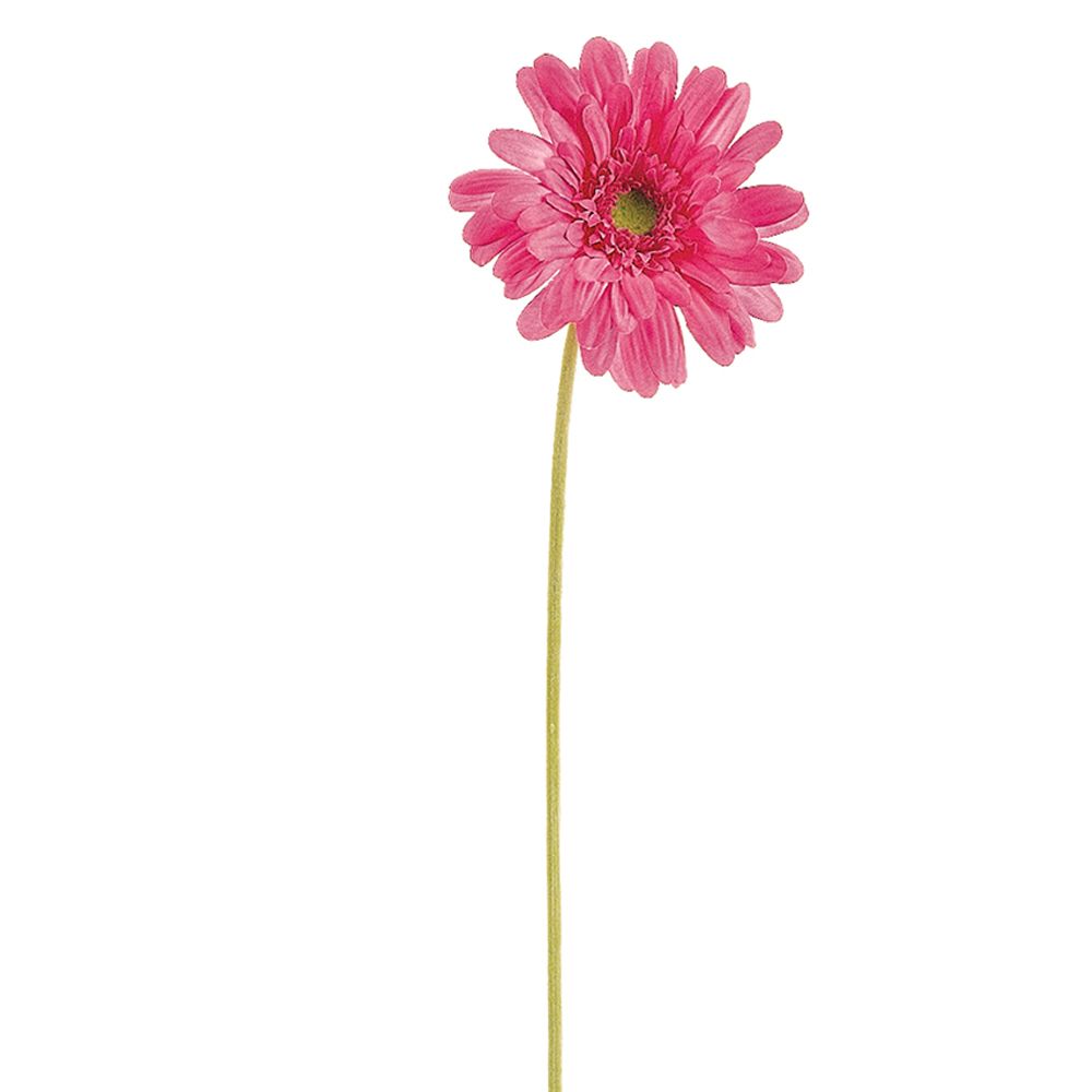 21.5"MD GERBERA DAISY SP.PK/HT