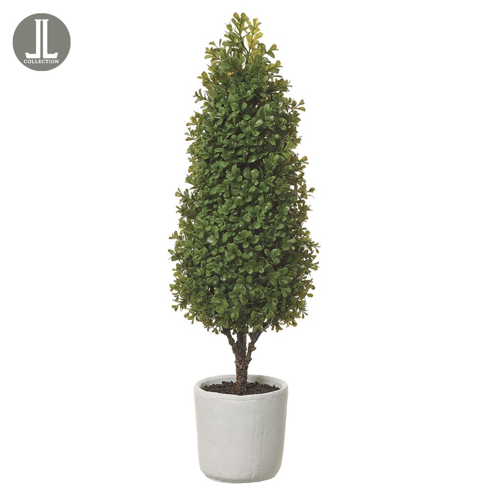 31.5"BOXWD CONE TOPIARY IN POT