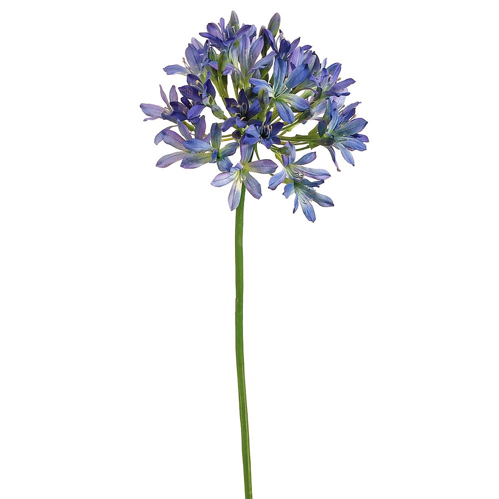 35"AGAPANTHUS SPRAY BL/BU