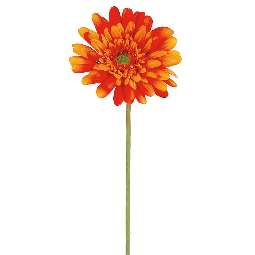 21.5"MD GERBERA DAISY SP.OR