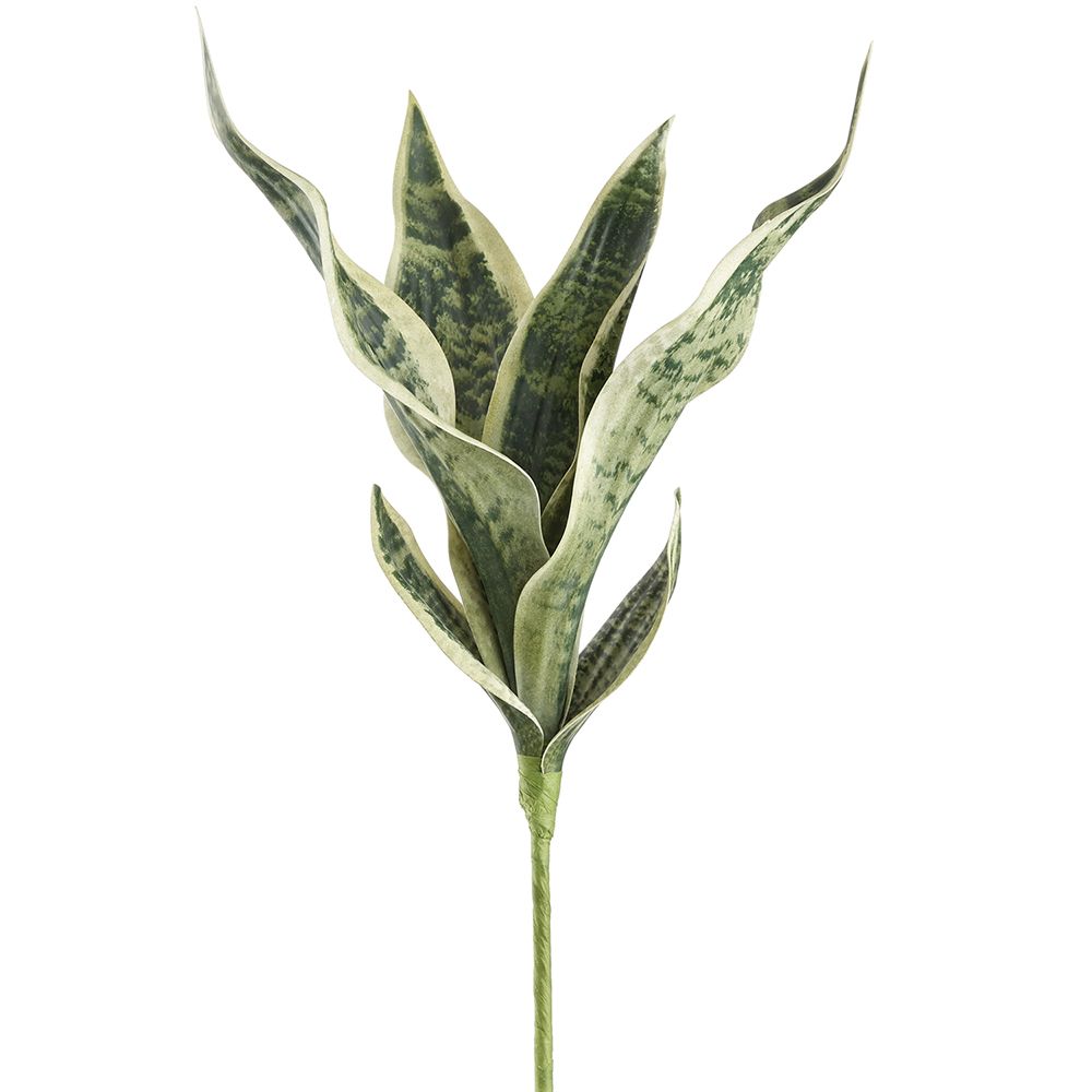 21"SANSEVIERIA PLANT GR/GY