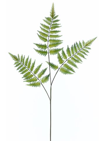 33"FOREST FERN SPRAY GR