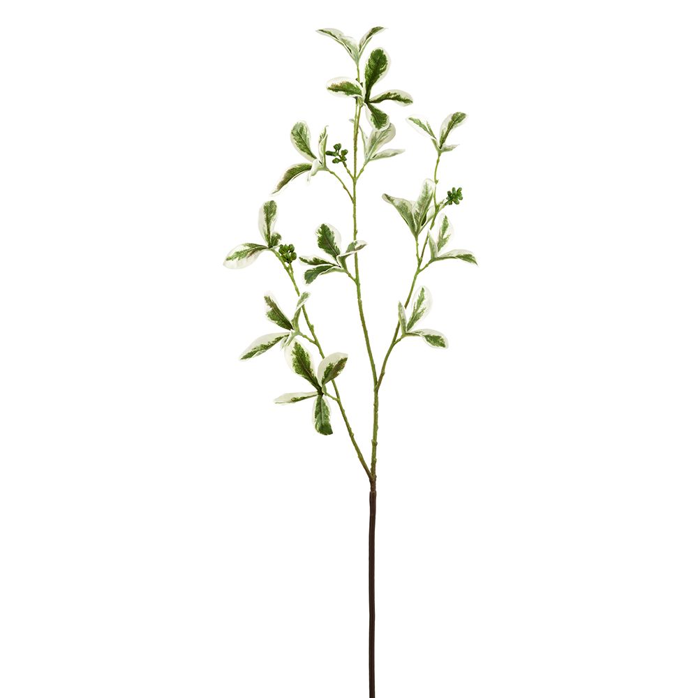 30.3" MD ALMOND TREE BRANCH