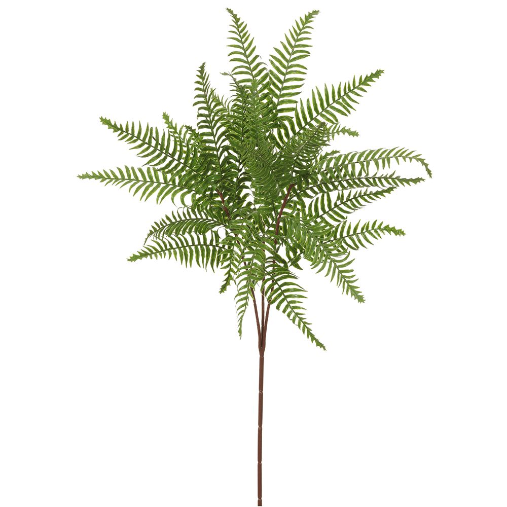 32"BOSTON FERN SPRAY GR