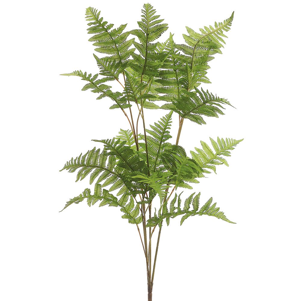 42"FOREST FERN BUSH GR