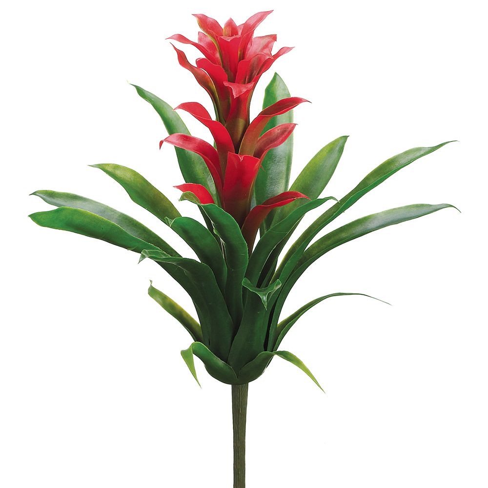 14" BROMELIAD PLANT RE/GR - SILK