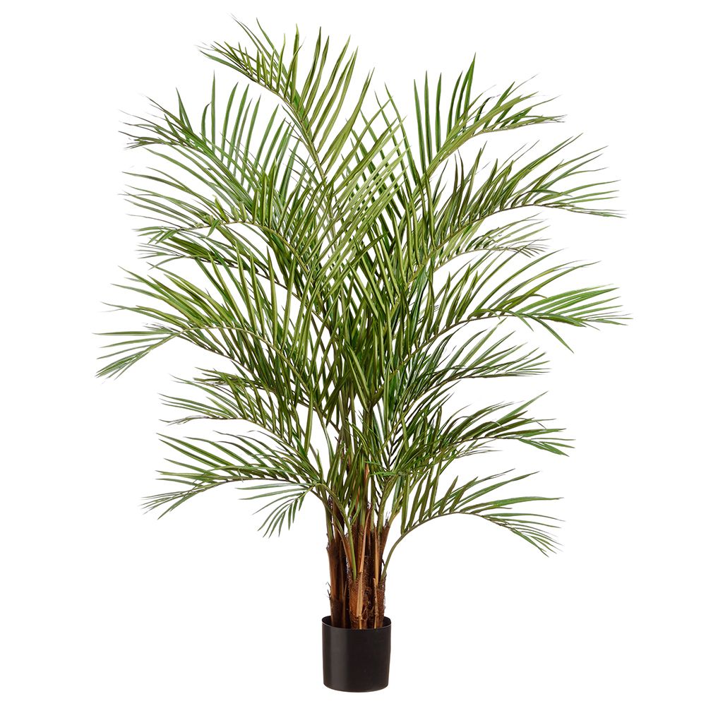 67"ARECA PALM TREE IN POT GR