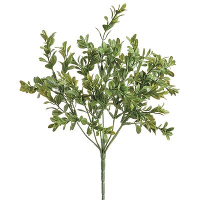 12.9"MINI BOXWOOD BUSH GR