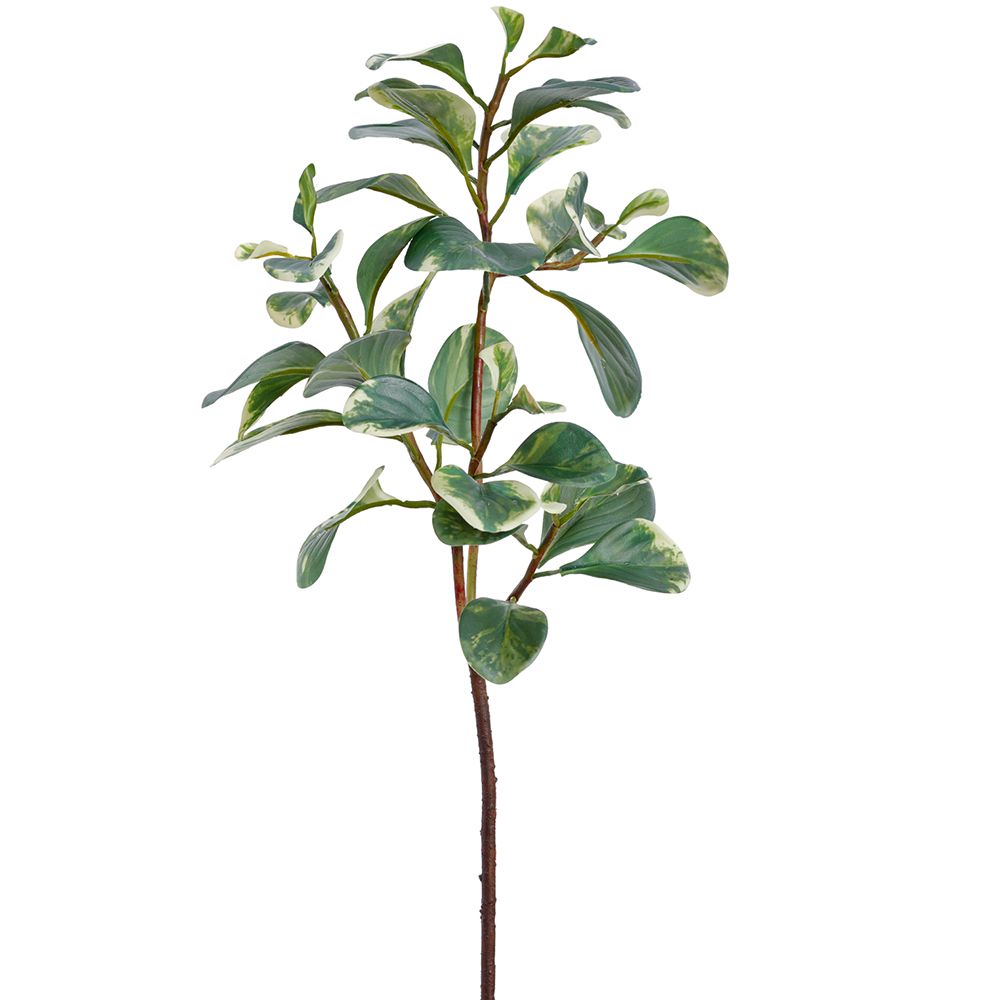27"PEPEROMIA LEAF SPRAY GR