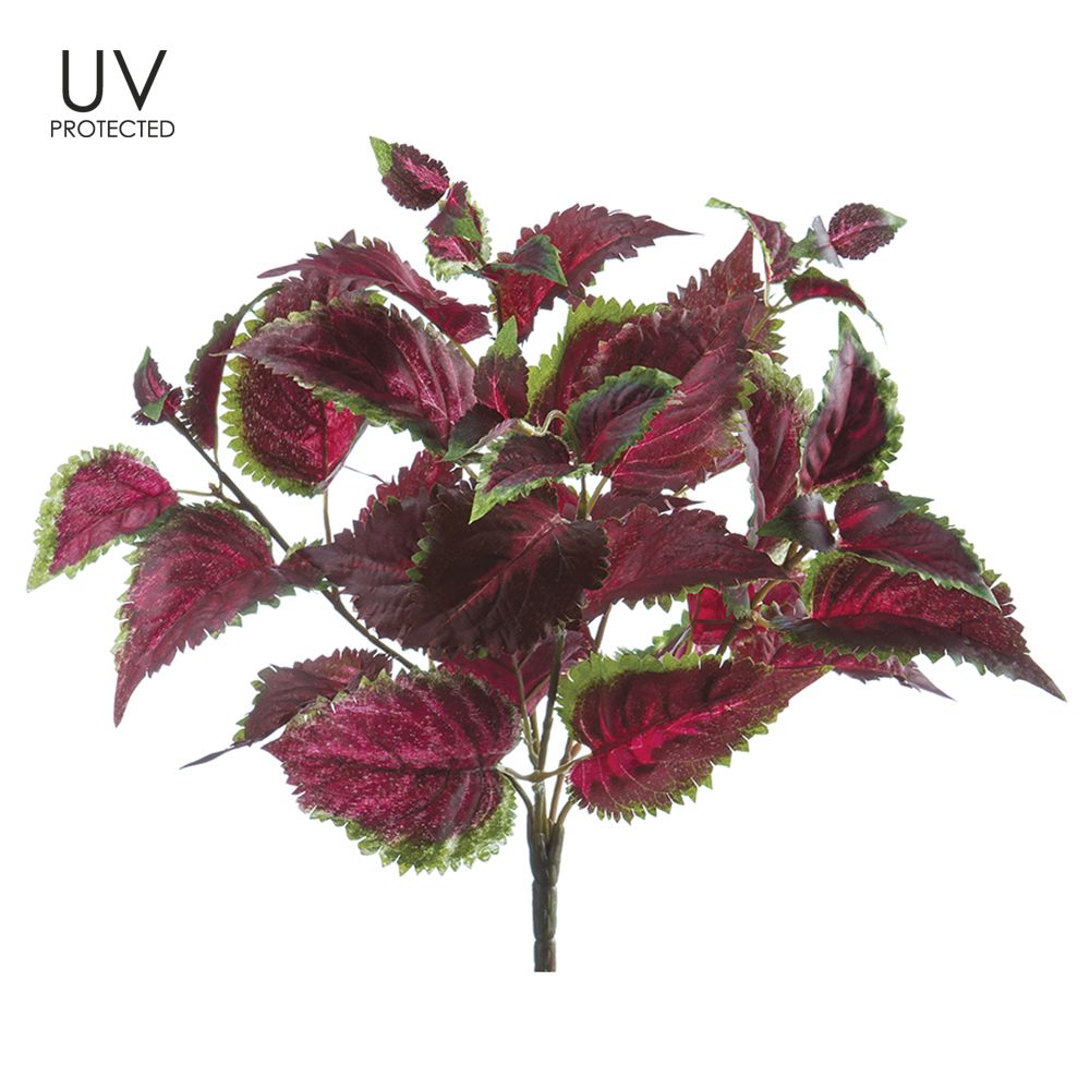 16"UV PROTECTED COLEUS BUSH