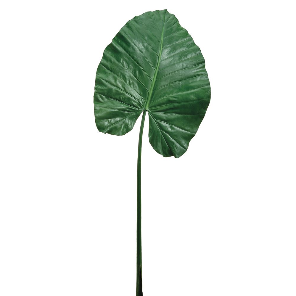 43"ELEPHANT EAR LEAF SPRAY GR
