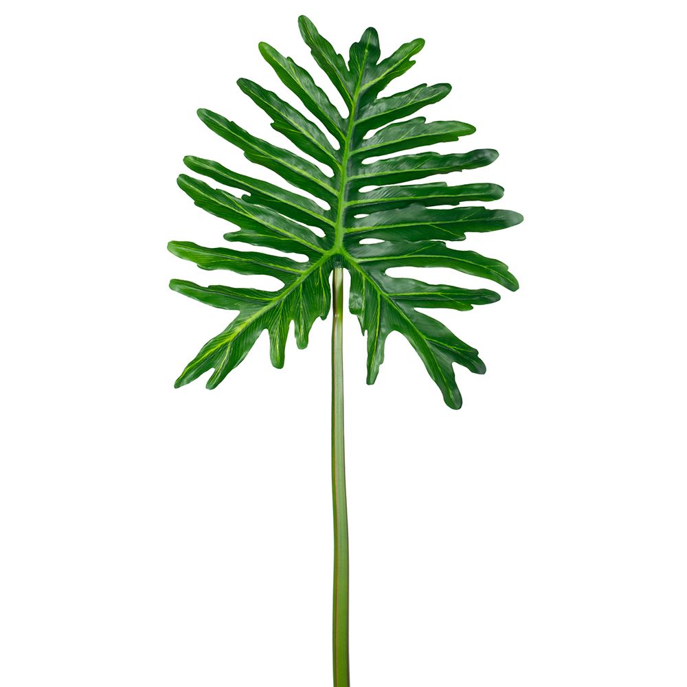 36"SELLOUM LEAF SPRAY GR