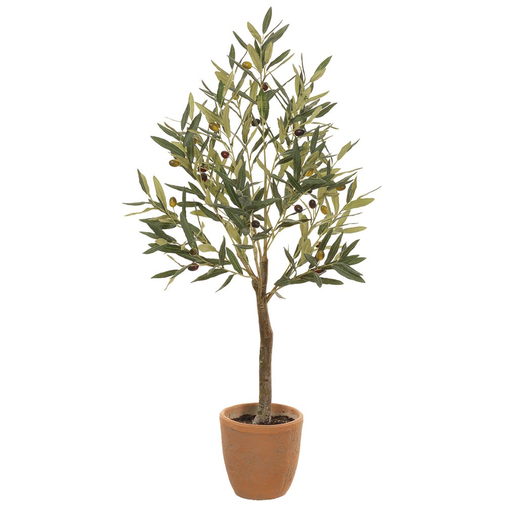 41"OLIVE TREE IN CEMENT POT GR