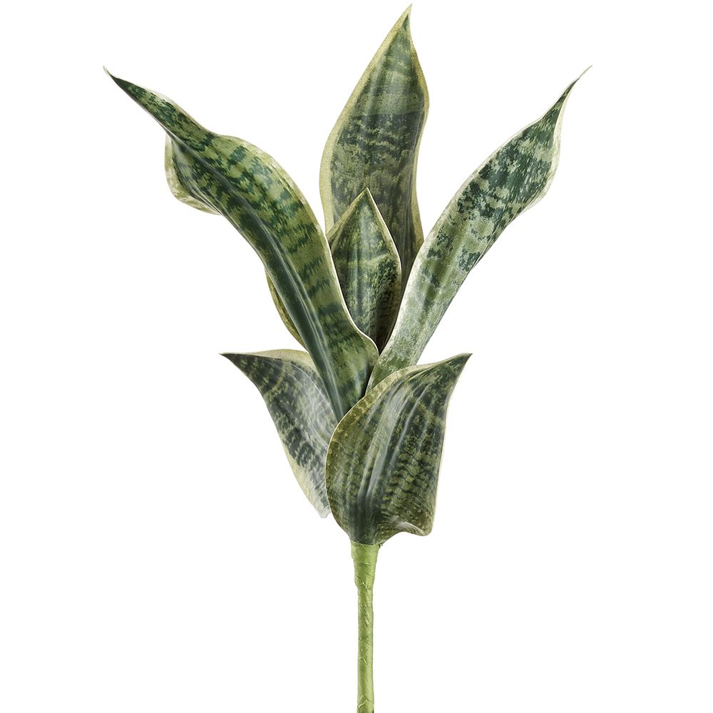 16"SANSEVIERIA PLANT GR/GY