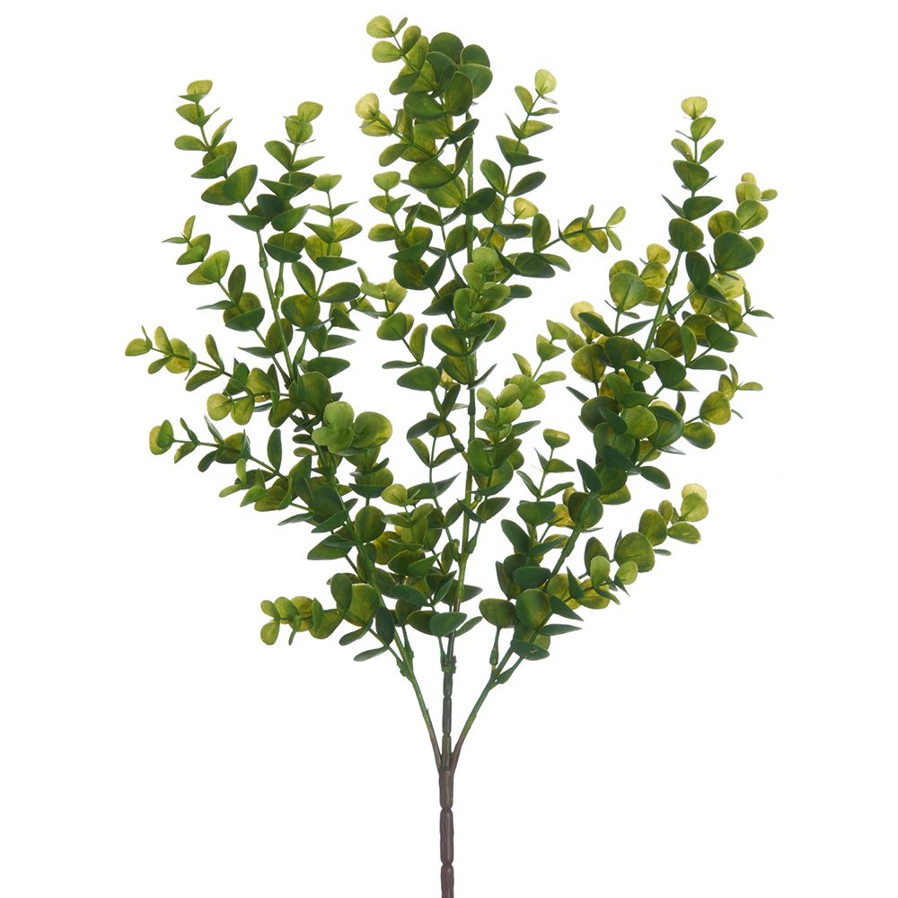 19.5"BOXWOOD BUSH GR