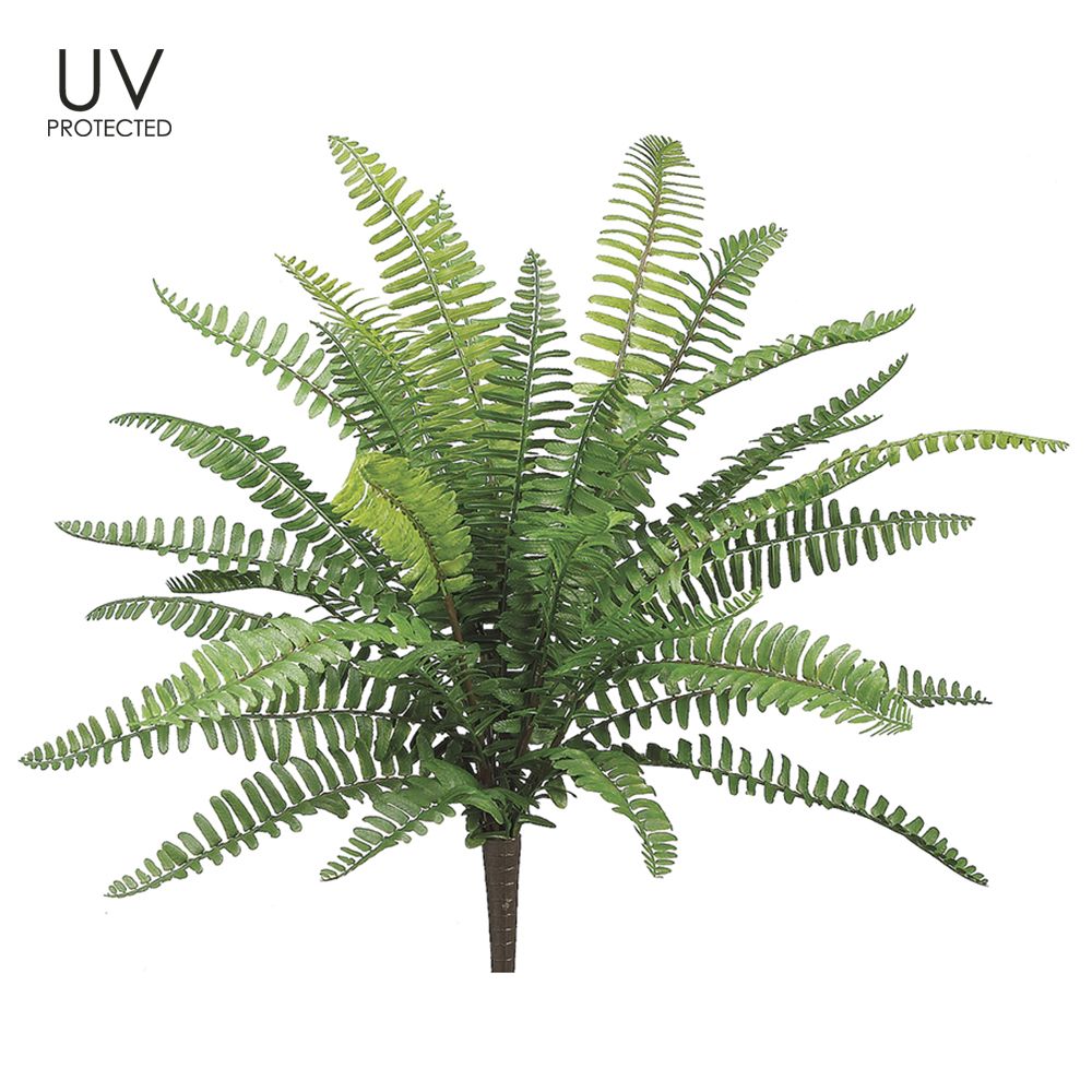 19"UV BOSTON FERN BUSH GR