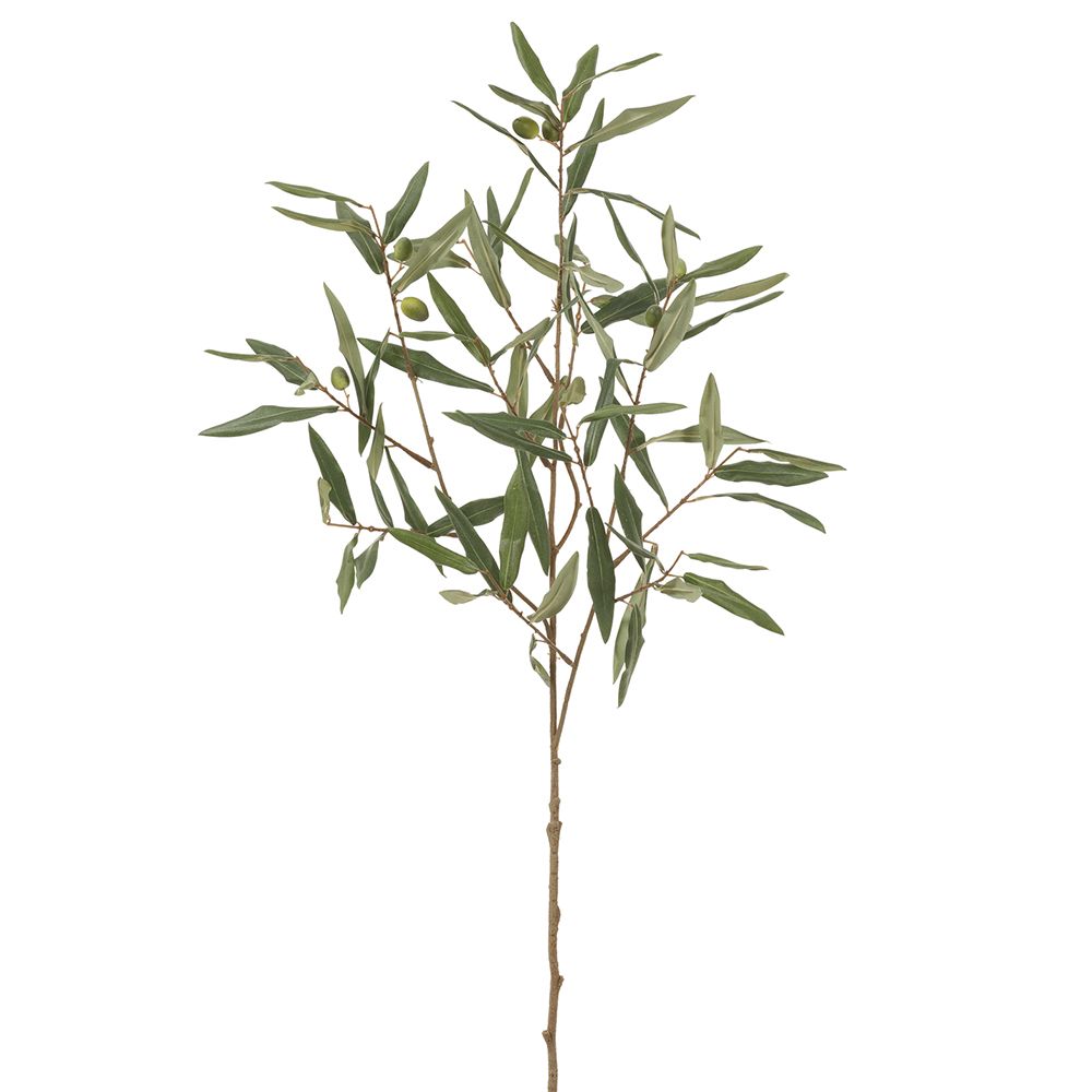 35"OLIVE BRANCH GR