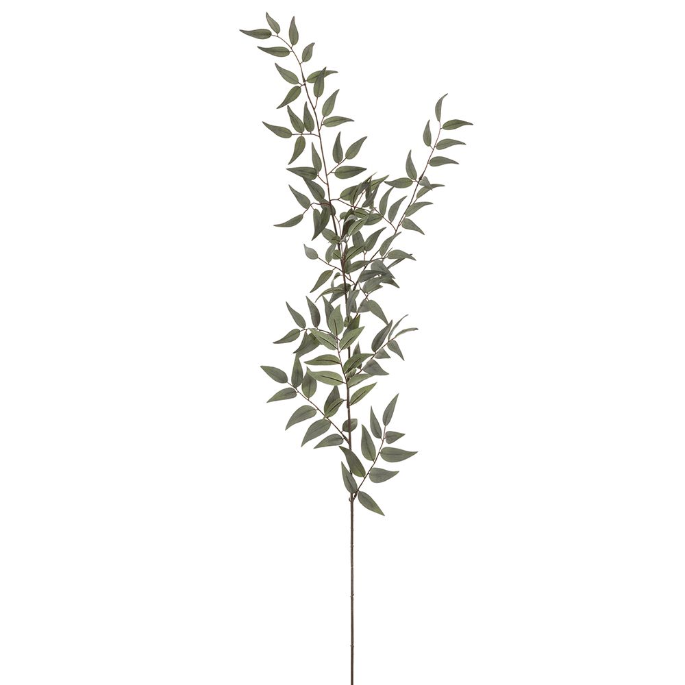 49"ITALIAN RUSCUS LEAF SPRAY