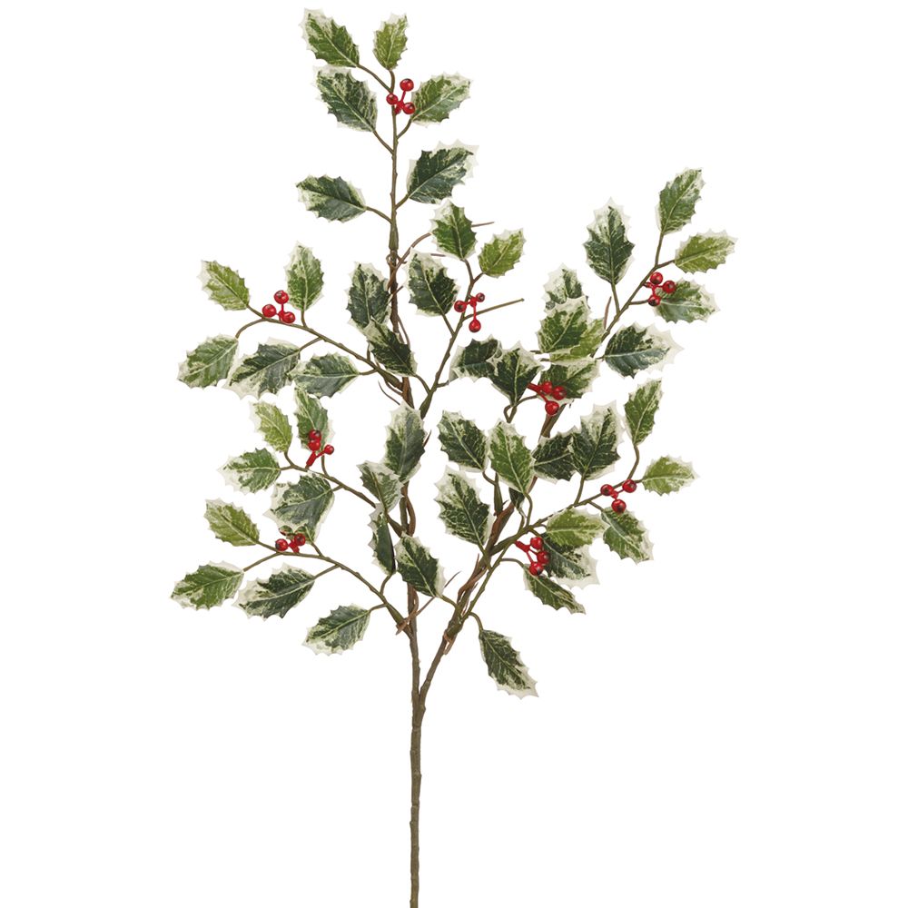 19" MINI HOLLY W/BER SPRAY VG