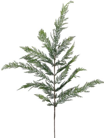 40"CEDAR SPRAY GR