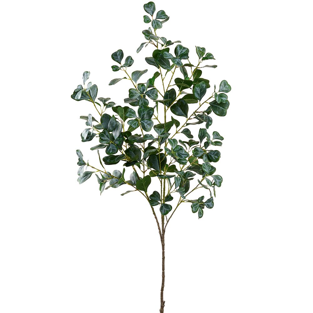 48"FICUS TRIANGULARIS LF SPRAY