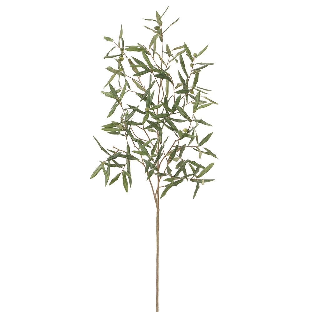56"OLIVE BRANCH GR