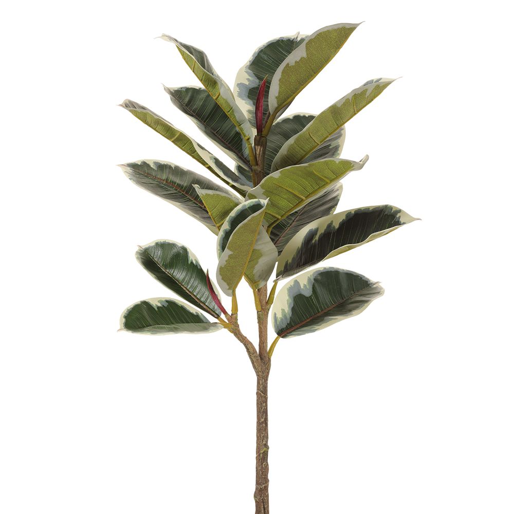 31"RUBBER PLANT SPRAY GR/VG