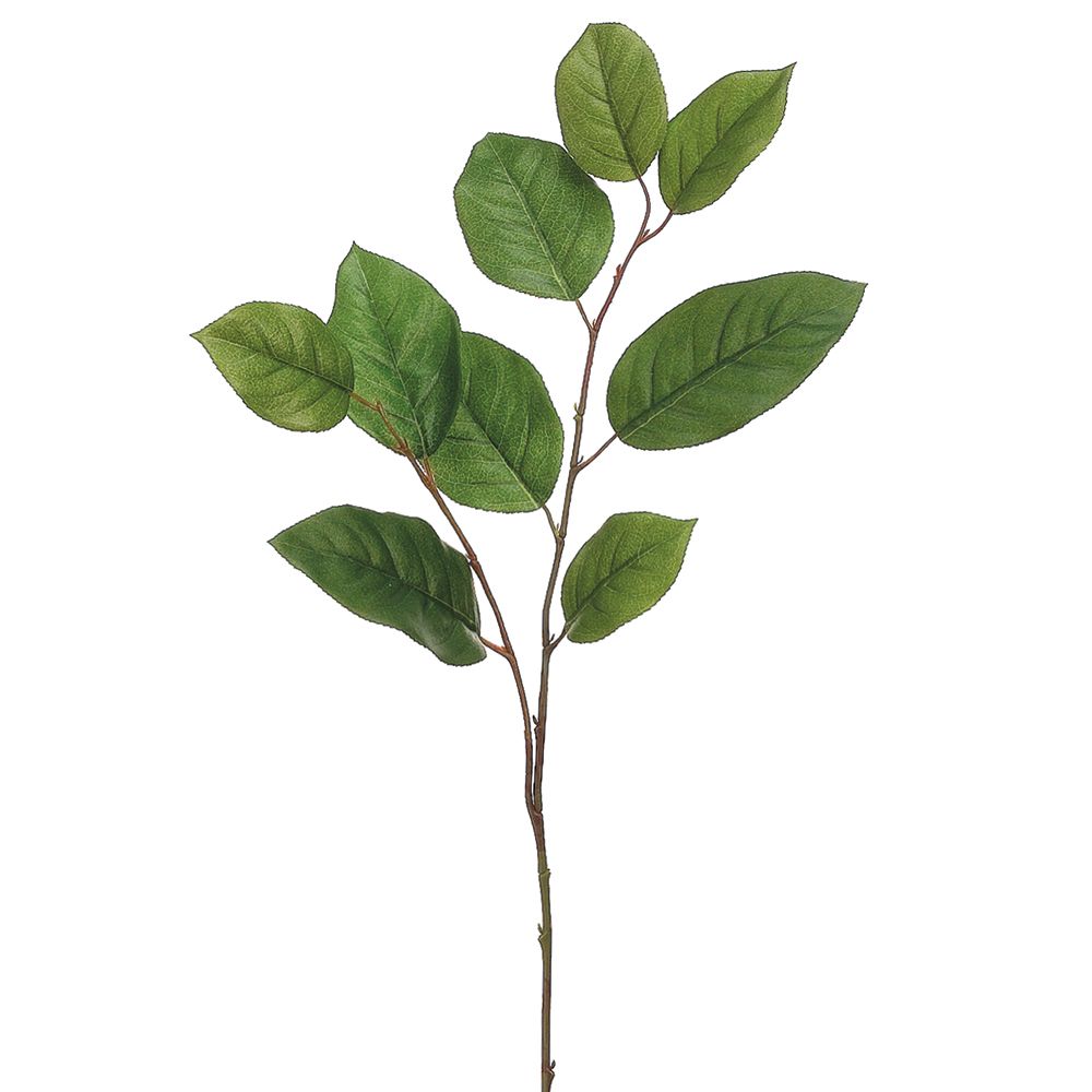 30"SALAL LEAF SPRAY GR/TT