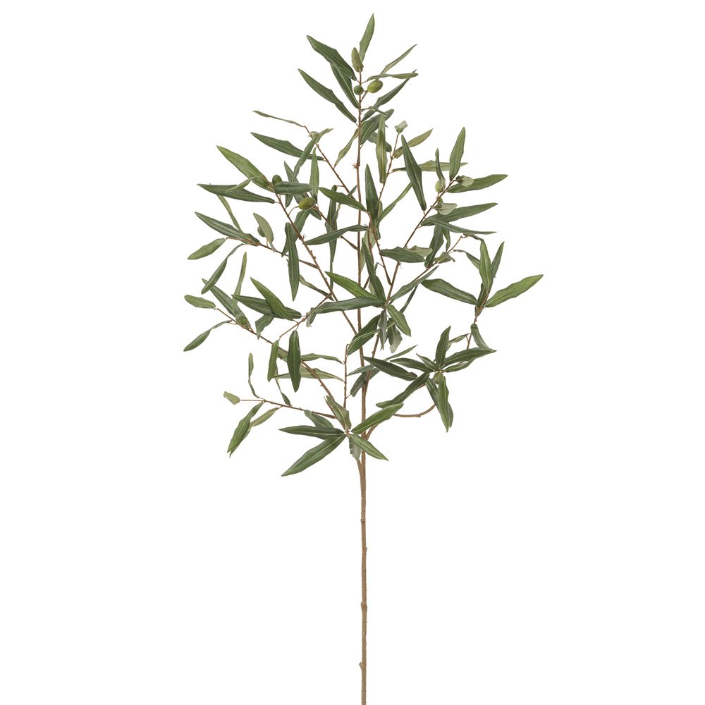 45"OLIVE BRANCH GR