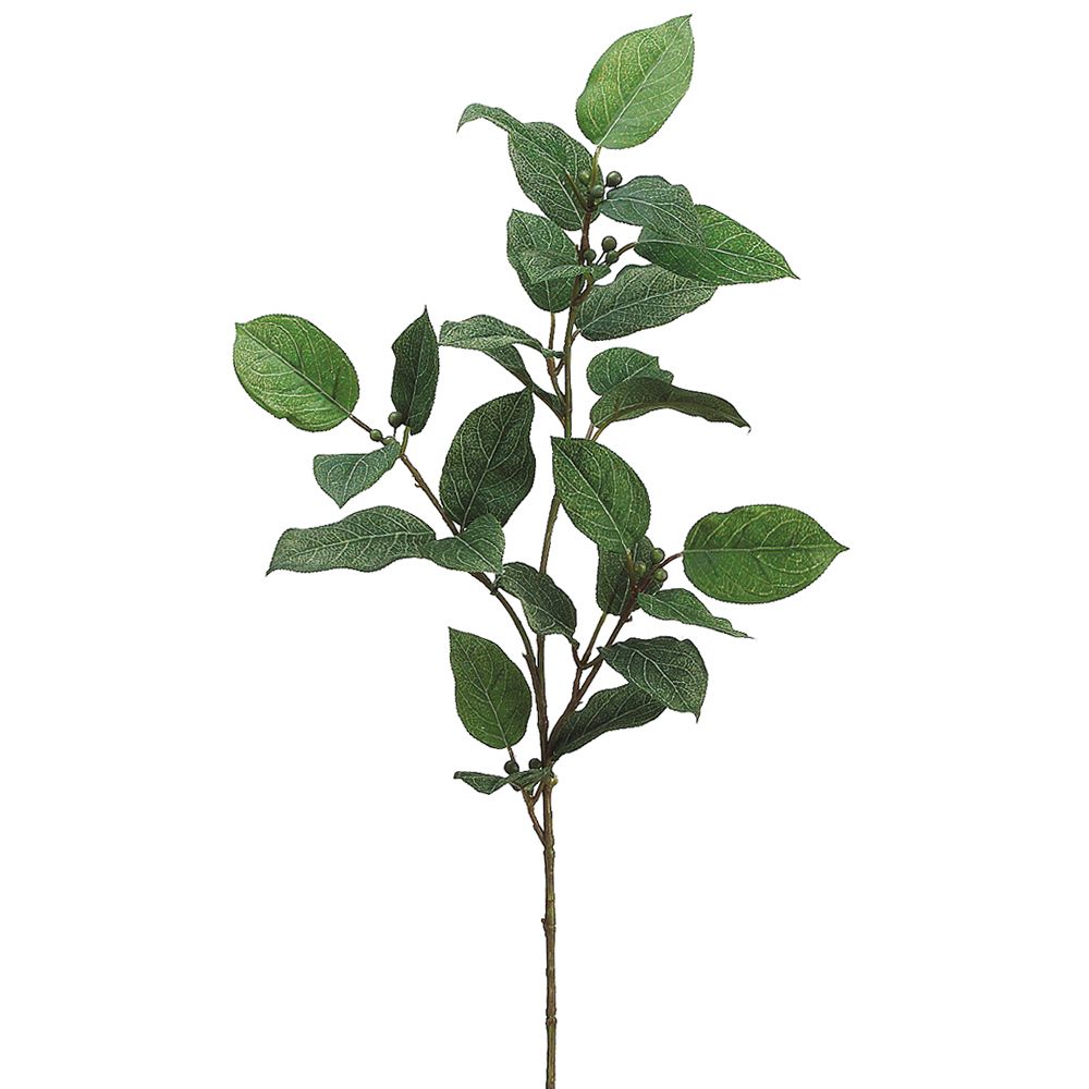 26"LEMON LF SPRAY X3 W/B.GR/BU