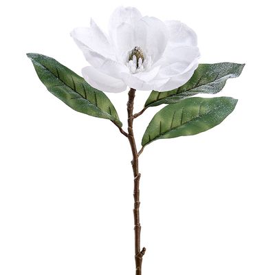 29"SNOWED MAGNOLIA SPRAY WH