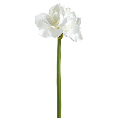 27"AMARYLLIS SPRAY WH