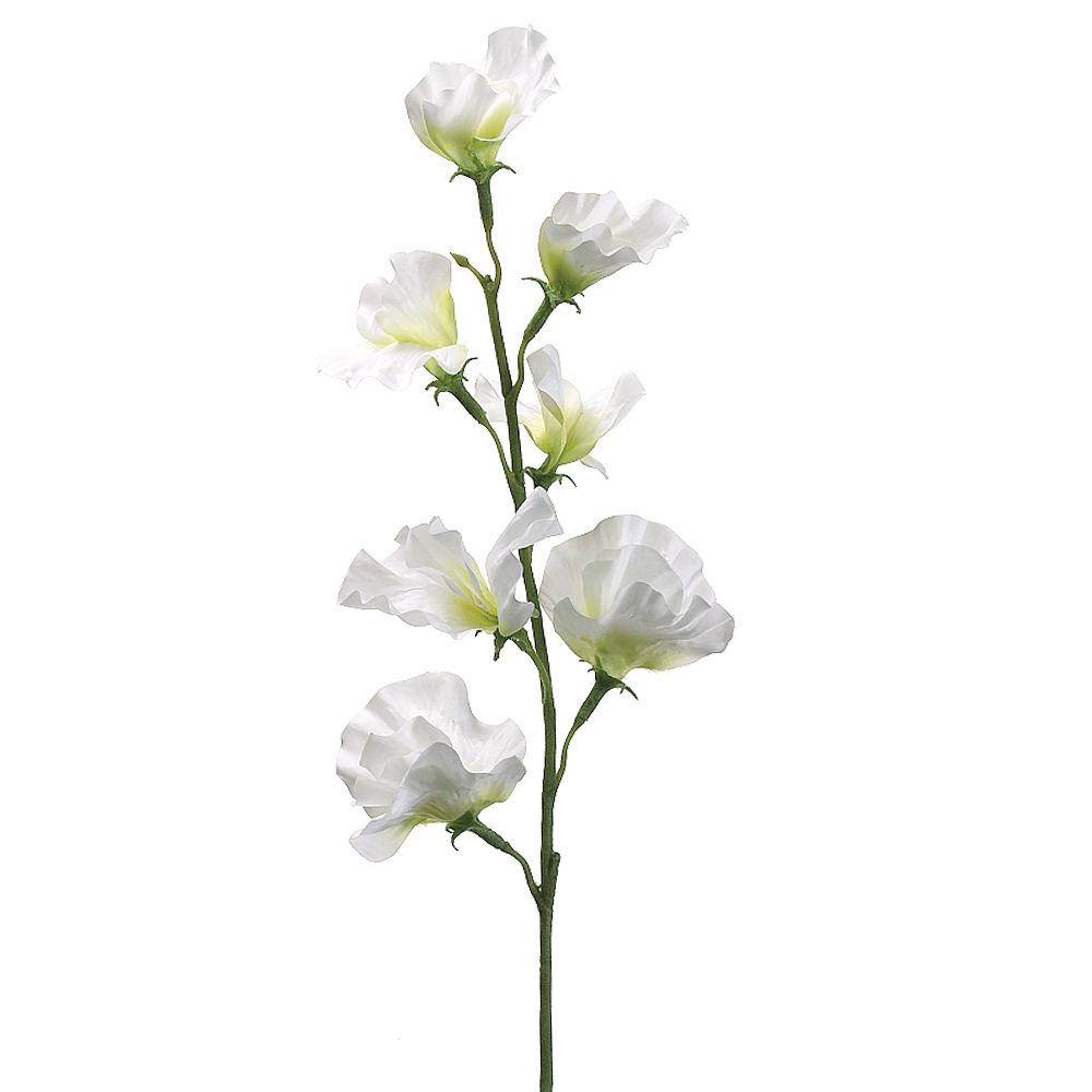 22"SWEET PEA SPRAY CR