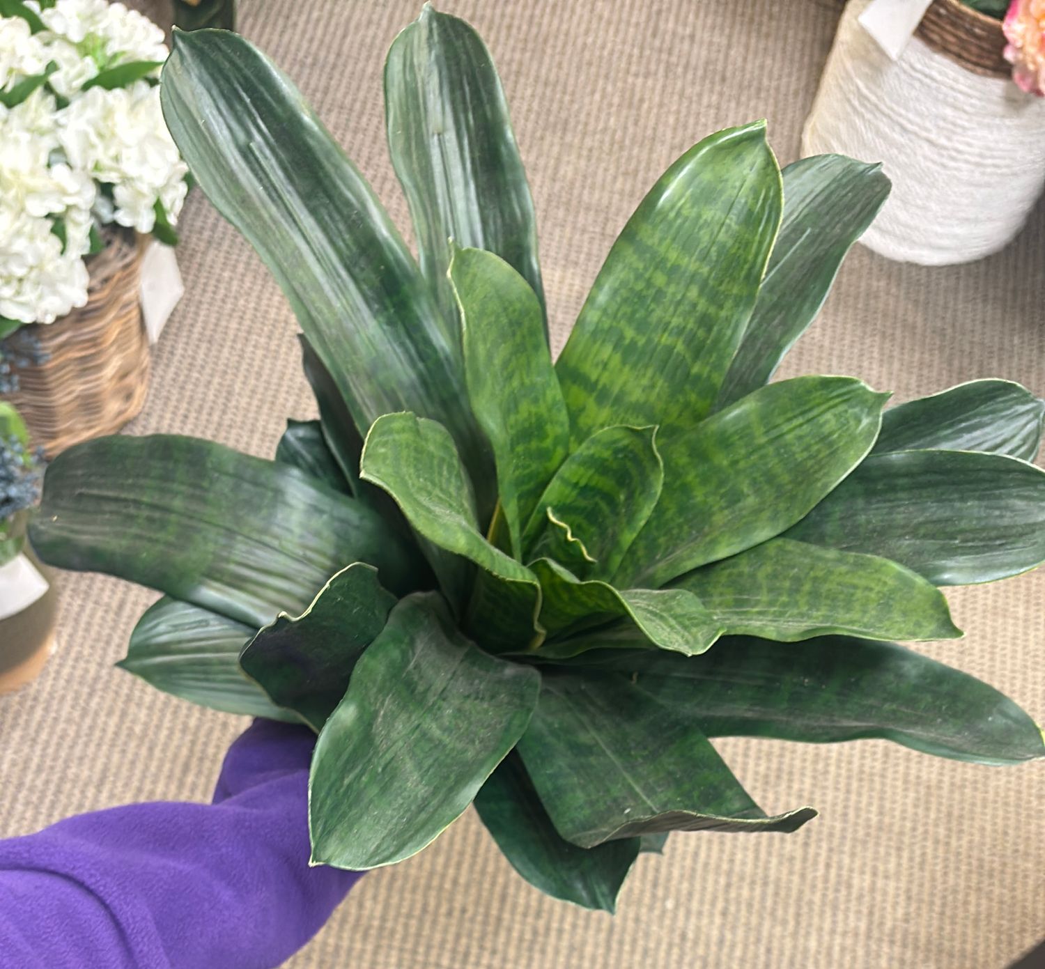 SILK BROMELIAD LEAF PLANT