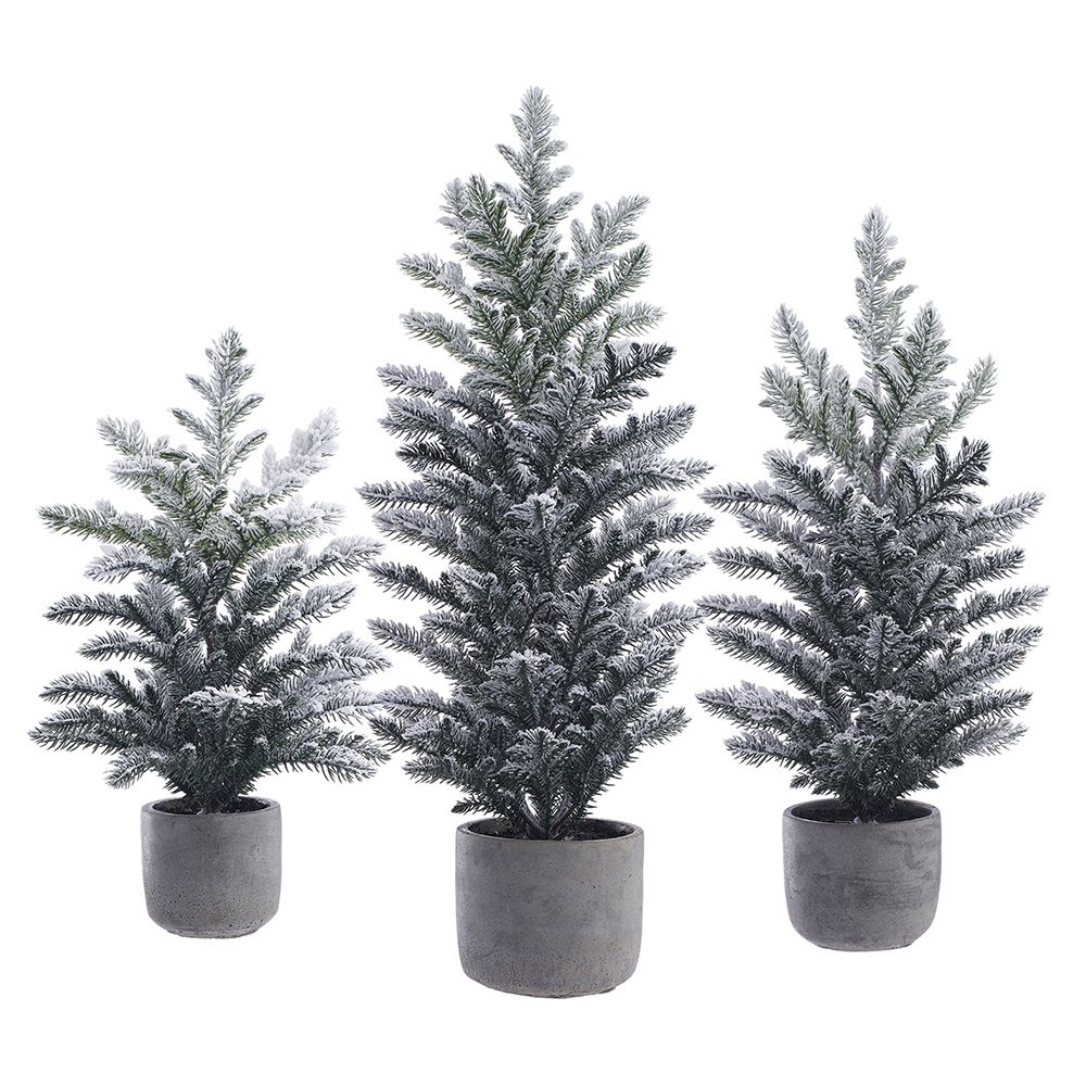 15.5"-24"SN PINE TREE(POT)(3/S