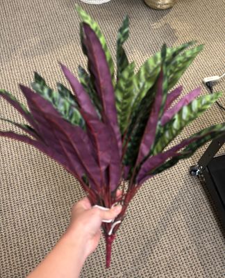 18.5" PEACOCK BUSH