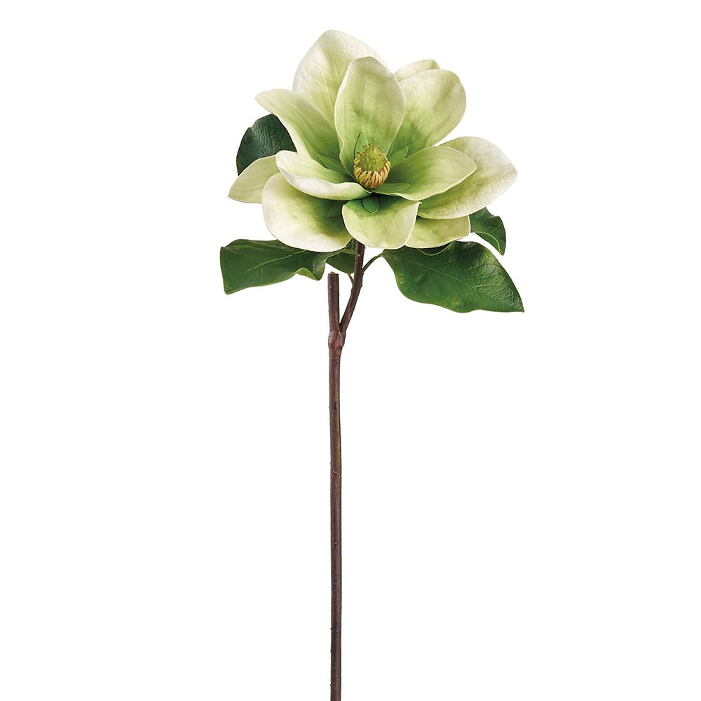 28"MAGNOLIA SPRAY GR