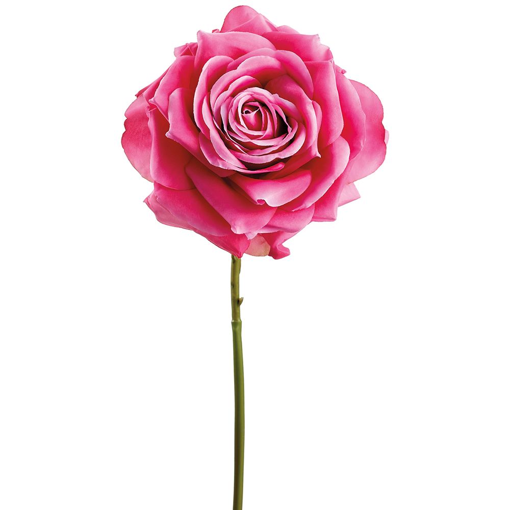 16"ROSE SPRAY RO